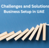 business setup in UAE